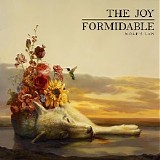 Joy Formidable - Wolf's Law