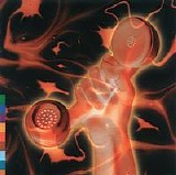 Peter Gabriel & Kate Bush - Secret World Live