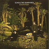 Echo & the Bunnymen - Evergreen