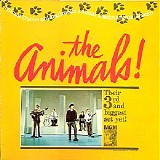 Animals - Animal Tracks