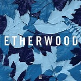 Various artists - Blue Leaves