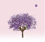 Eels - Tomorrow Morning Limited Edition