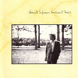 David Sylvian - Brilliant Trees