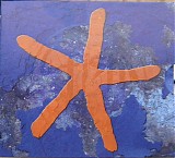 Fish - 13th Star