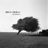 Bird In The Belly - The Crowing