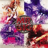 Mr. Big - Live From Milan