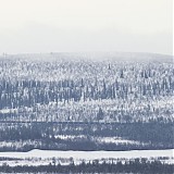 Acronym - Malm