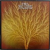 Van Der Graaf Generator - Still Life