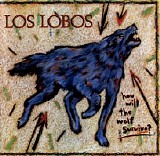 Los Lobos - How Will The Wolf Survive?