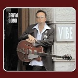 David Gogo - Vibe