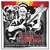 Various artists - Psychedelic Pop Nuggets from the WEA Vaults