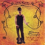 Shane Dwight Blues Band - What You Need