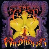 The Cult - Wild Flower