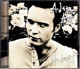 Adam Ant - Wonderful