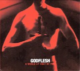 Godflesh - A World Lit Only By Fire