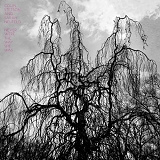 Colin Stetson and Sarah Neufeld - Never Were The Way She Was