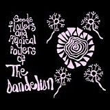 The Dandelion - Seeds Flowers And Magical Powers Of The Dandelion