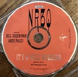 NRBQ - It's A Wild Weekend