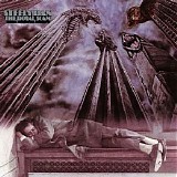 Steely Dan - The Royal Scam
