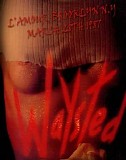 Waysted - NY 1987-03-28