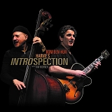 Roni Ben-Hur, Harvie S - Introspection