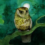 Sleeping At Last - Storyboards