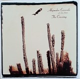 Alejandro Escovedo & Don Antonio - The Crossing
