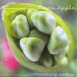 Fiona Apple - Extraordinary Machine