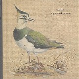 A Grave With No Name - Feathers Wet, Under The Moon
