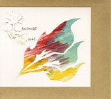 Animal Collective - Campfire Songs