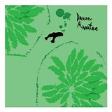 Animal Collective - Danse Manatee