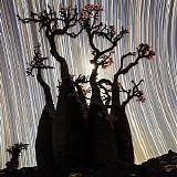 The American Dollar - Music For Focus And Creativity