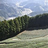 World Listener - ?? - Nishizato {WEB}