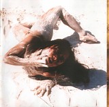 Steven Severin - The Woman In The Dunes