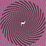 Deerhunter - Cryptograms