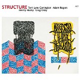 Terri Lyne Carrington - Structure