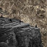 Esben And The Witch - Nowhere