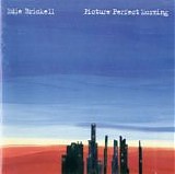 Edie Brickell - Picture Perfect Morning