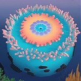 Panda Bear - Boys Latin