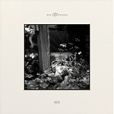 Various Artists - Musicophilia - The Dawning (1981-1989)