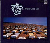 Pink Floyd - A Momentary Lapse Of Reason