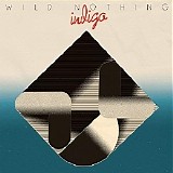 Wild Nothing - Indigo
