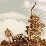 People Of The North - Steep Formations