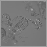 Various Artists - Musicophilia - Translucence (1974-2018)