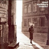 Camel - Stationary traveller