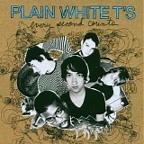 Plain White T's - Every second counts