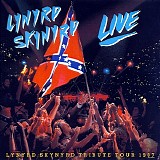 Lynyrd Skynyrd - Southern by the grace of god