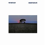 Pat Metheny - Bright size life