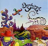 Beachwood Sparks - Make The Cowboy Robots Cry