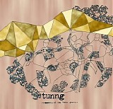 Tunng - Comments Of The Inner Chorus